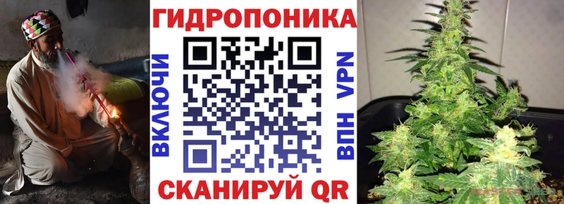 Бошки марихуана семена  Верхний Тагил 